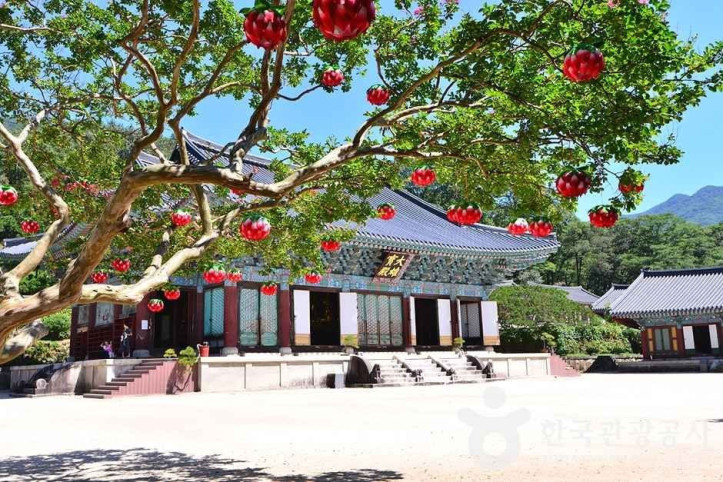 조계산도립공원 여행 추천 - 메고지고