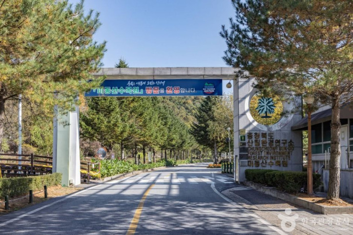 미동산수목원 여행 추천 - 메고지고