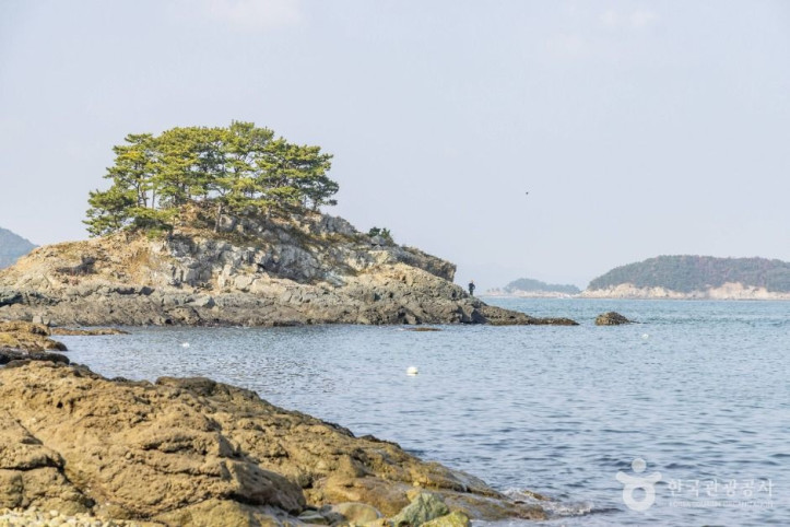흰작살해변 여행 추천 - 메고지고