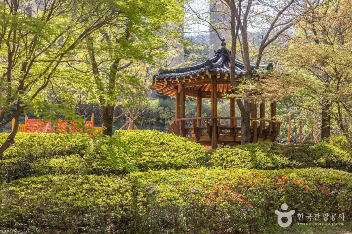 용소웰빙공원 여행 추천 - 메고지고