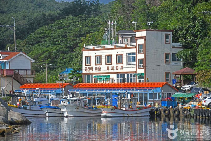 동산항 여행 추천 - 메고지고