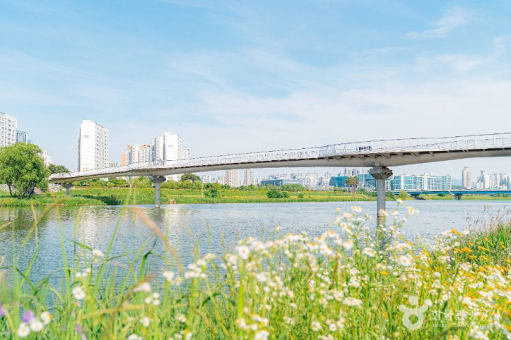 왕숙천시민공원 여행 추천 - 메고지고