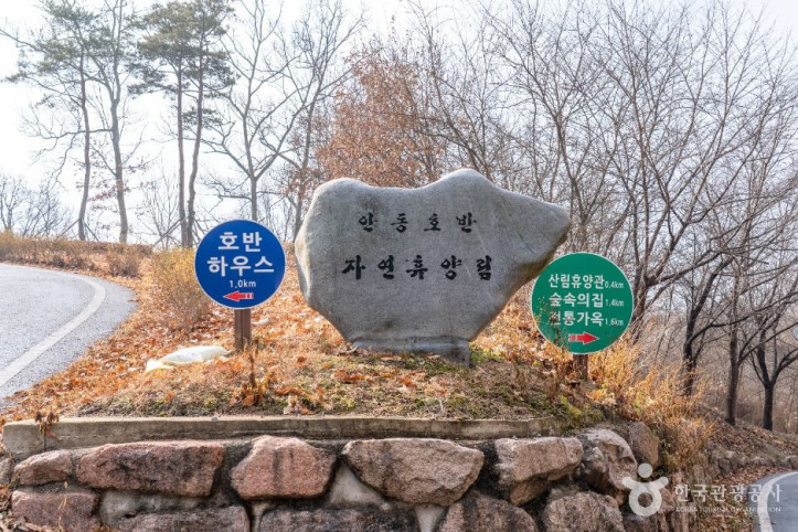 안동호반자연휴양림 여행 추천 - 메고지고