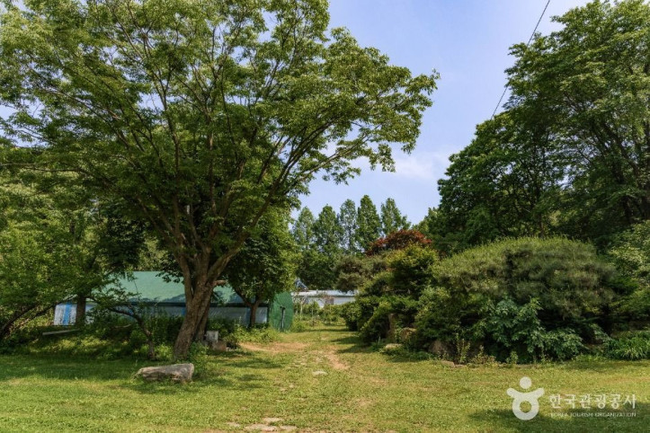 산머루농원 여행 추천 - 메고지고