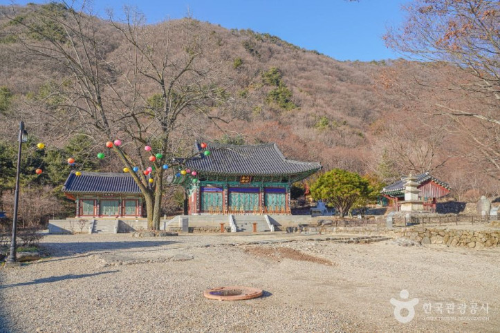 사나사(양평) 여행 추천 - 메고지고