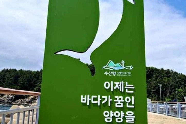 수산항 여행 추천 - 메고지고