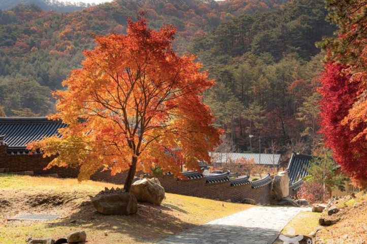 법흥사(영월) 여행 추천 - 메고지고