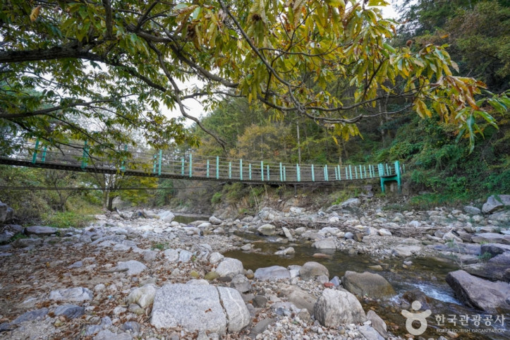 예천 출렁다리마을 여행 추천 - 메고지고
