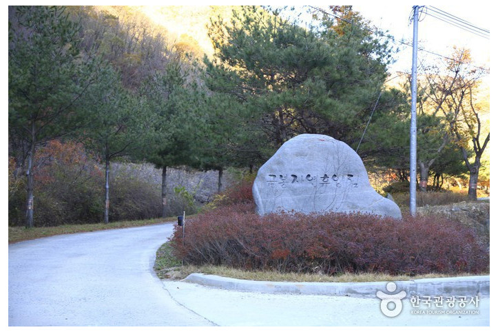 금봉자연휴양림 여행 추천 - 메고지고