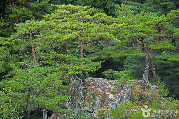 팔석정 여행 추천 - 메고지고