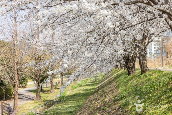 기적의놀이터 3호 시가모노 여행 추천 - 메고지고