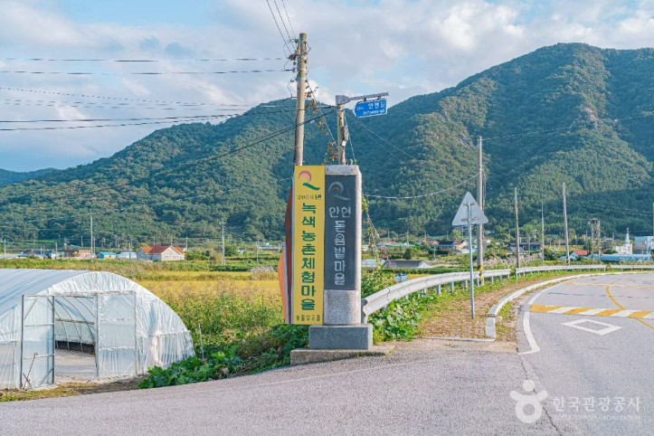 안현돋음볕마을 여행 추천 - 메고지고