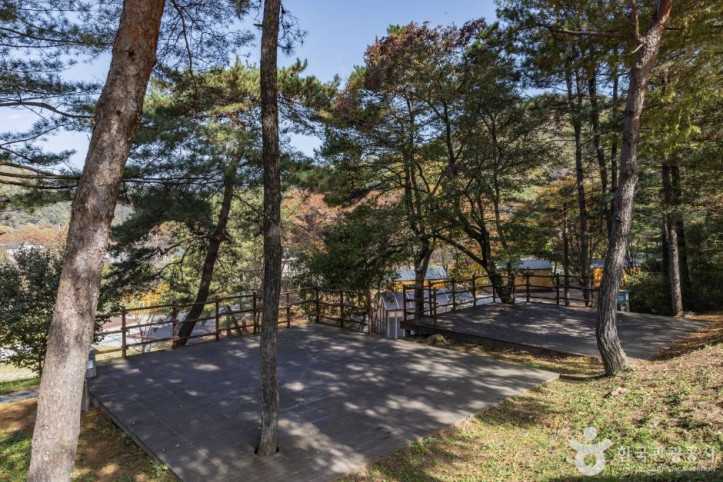 옥화자연휴양림 여행 추천 - 메고지고