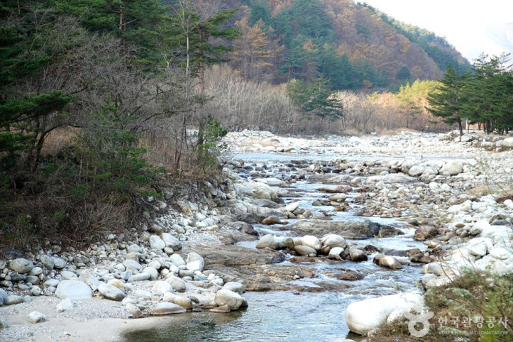 소금강장천마을 여행 추천 - 메고지고