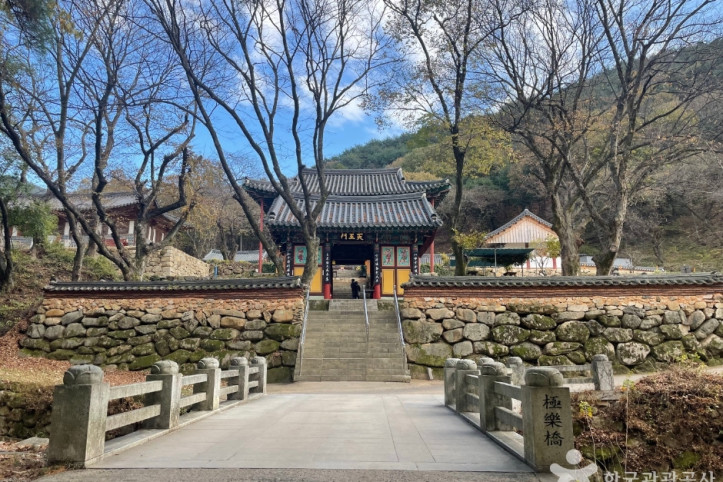 용연사(대구) 여행 추천 - 메고지고