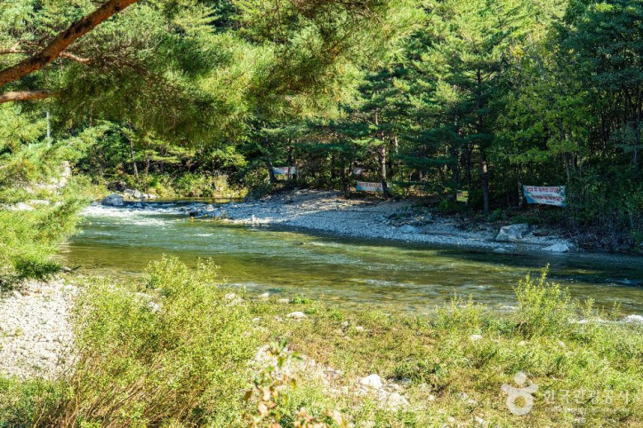 진동계곡 여행 추천 - 메고지고