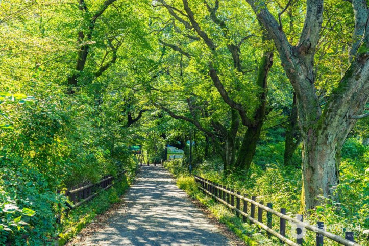 공주 갑사 철당간 여행 추천 - 메고지고