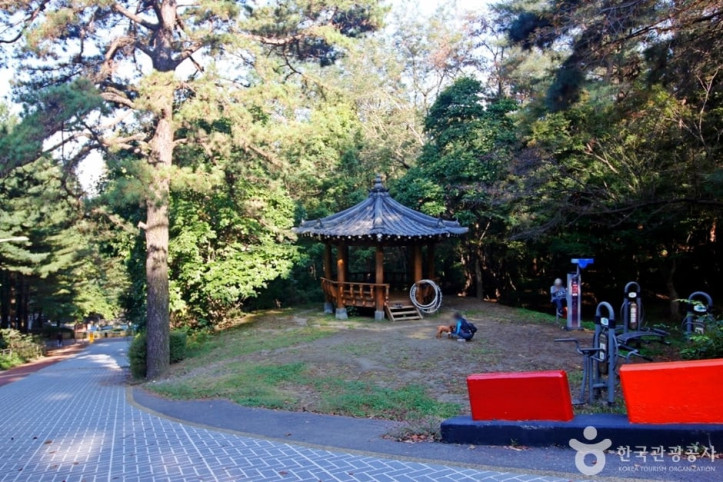 보문산 행복 숲 둘레길 여행 추천 - 메고지고