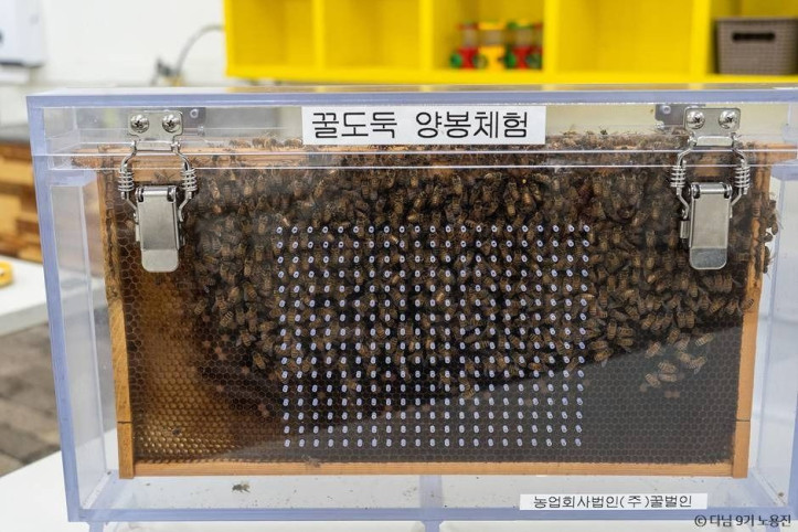 농업회사법인주식회사꿀벌인 여행 추천 - 메고지고