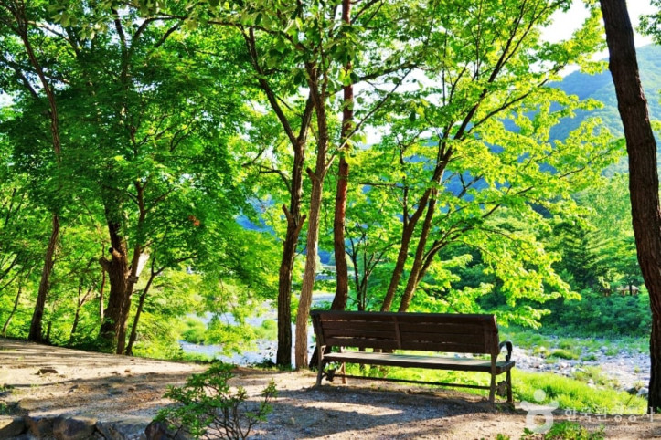 소선암자연휴양림 여행 추천 - 메고지고