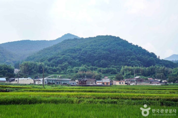 바다공룡 워케이션 여행 추천 - 메고지고