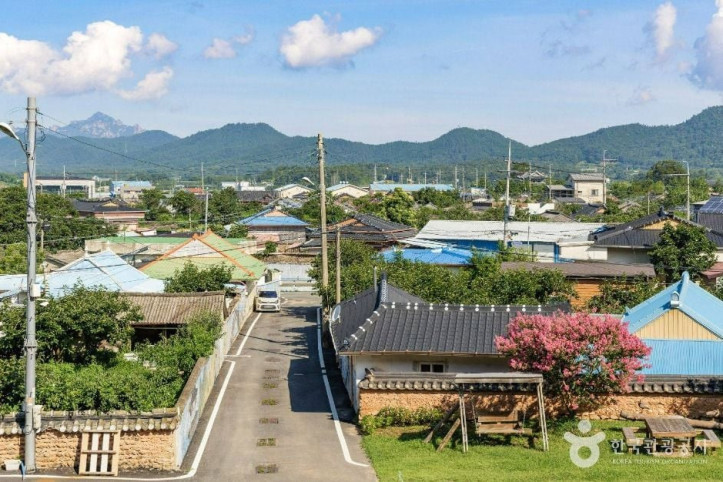 강진 삼인리 비자나무 여행 추천 - 메고지고