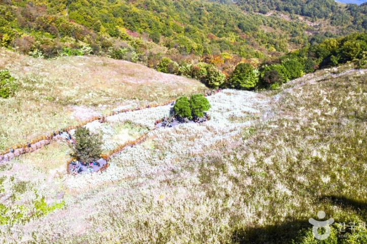 명성산억새밭 여행 추천 - 메고지고