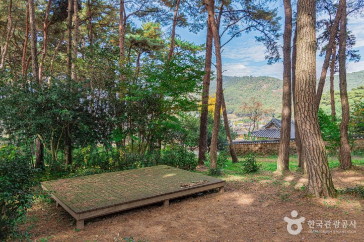 제봉산 마법의 숲 체험원 여행 추천 - 메고지고