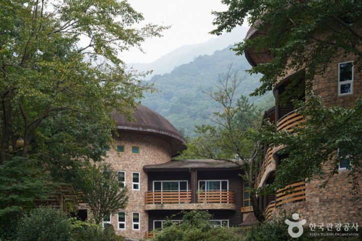 국립 운문산자연휴양림 여행 추천 - 메고지고