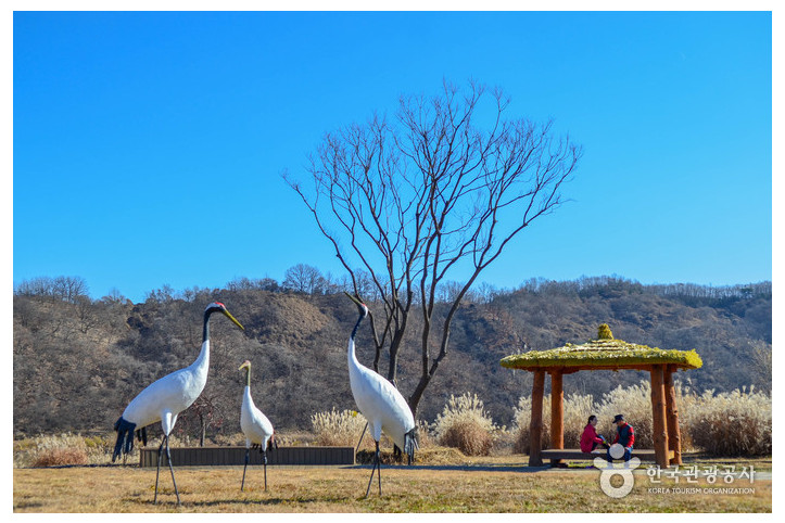임진강평화습지원 여행 추천 - 메고지고