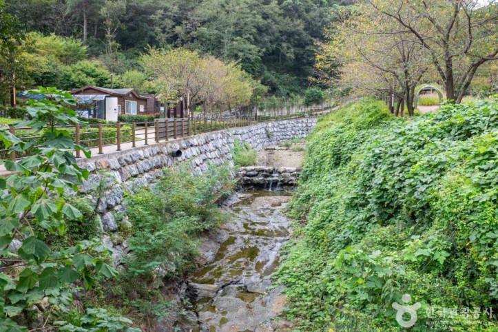 연일중명자연생태공원 여행 추천 - 메고지고