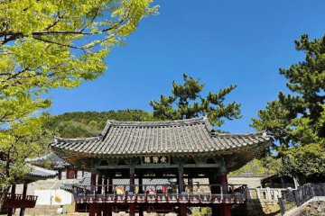 통영 세병관 여행 추천 - 메고지고