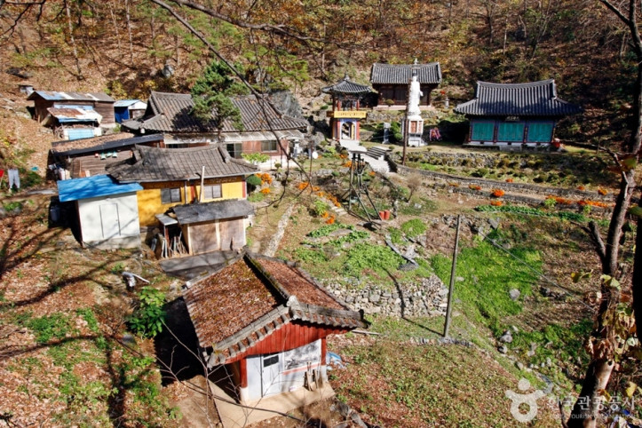 정심사(충주) 여행 추천 - 메고지고
