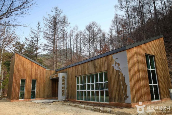 국립 용화산자연휴양림 여행 추천 - 메고지고