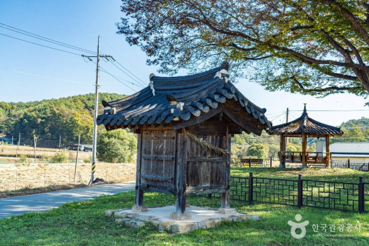 안동 사신리 느티나무 여행 추천 - 메고지고