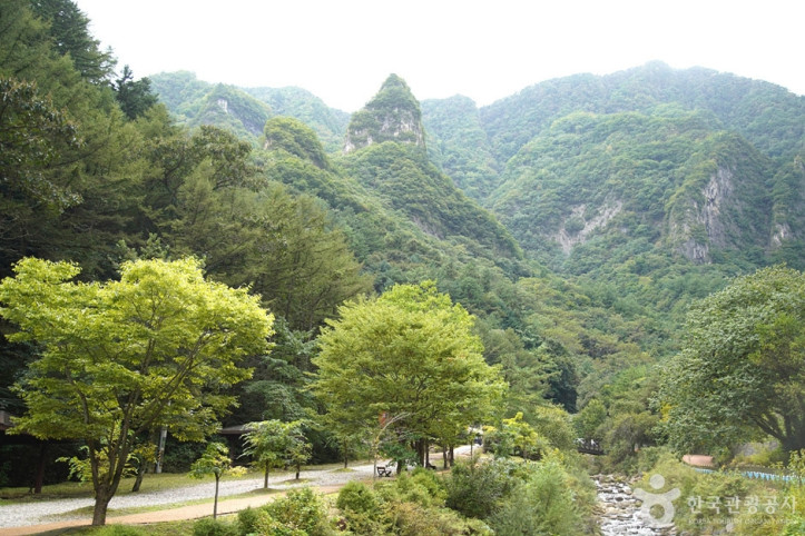 덕항산 여행 추천 - 메고지고