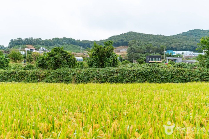 꾀꼴성마을 여행 추천 - 메고지고