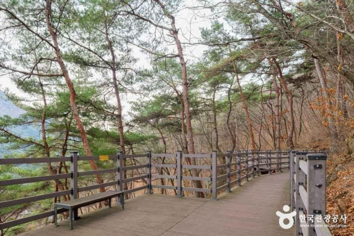 성불산자연휴양림 여행 추천 - 메고지고