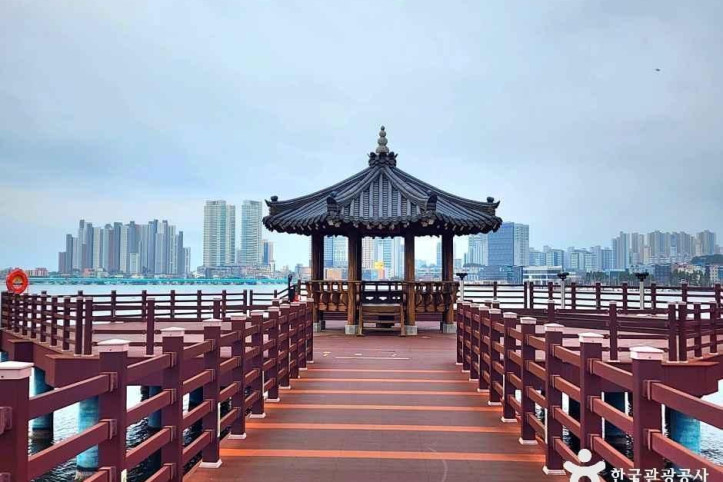 청초호 호수공원 여행 추천 - 메고지고