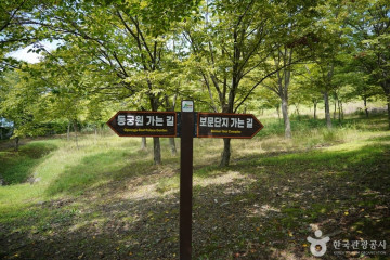 이상복명과 경주빵 숲머리점 여행 추천 - 메고지고