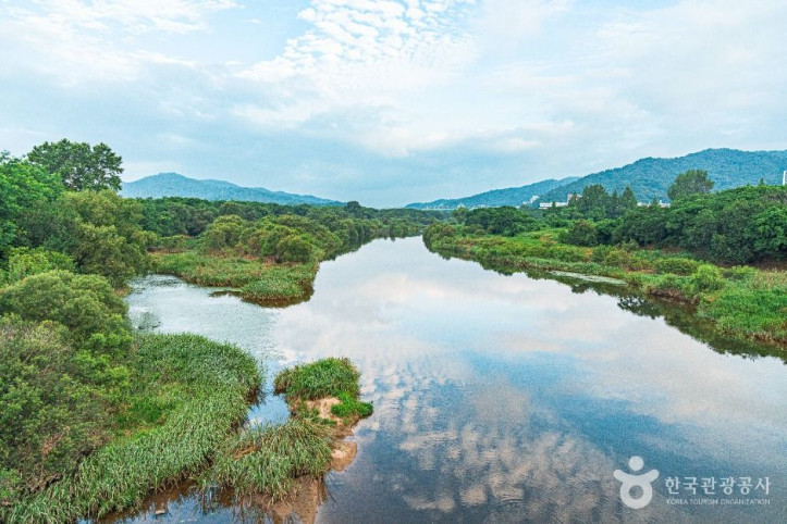 황룡친수공원 여행 추천 - 메고지고