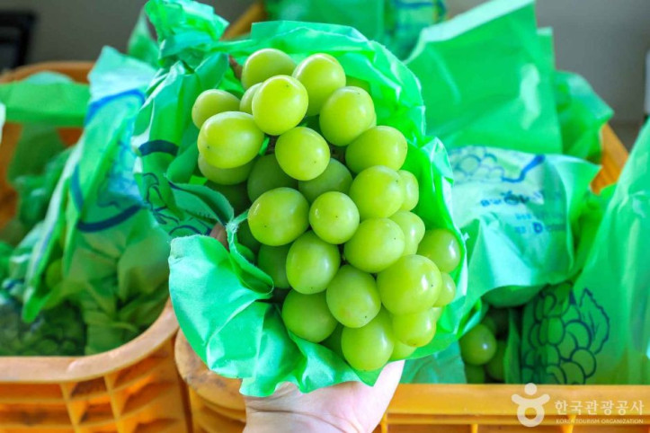 인처골마을 여행 추천 - 메고지고