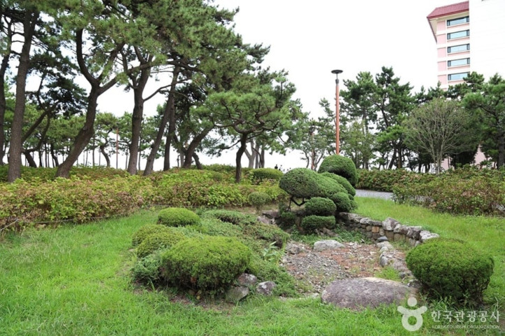 송림공원 여행 추천 - 메고지고