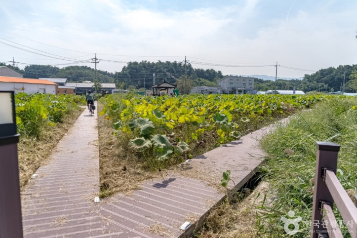 풍호마을 여행 추천 - 메고지고