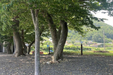 송정솔바람해변 여행 추천 - 메고지고