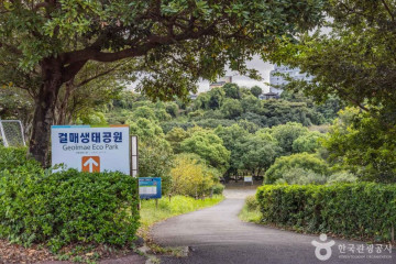 서귀포칠십리시공원 여행 추천 - 메고지고