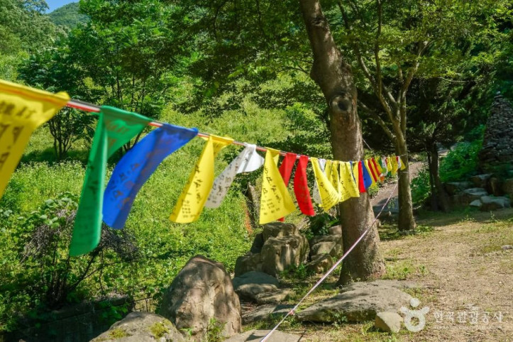 용문사(대구) 여행 추천 - 메고지고