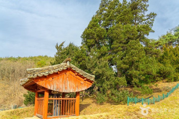 수락리 주상절리 (청송 국가지질공원) 여행 추천 - 메고지고