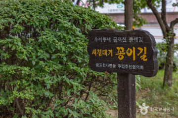 신트리공원(인천) 여행 추천 - 메고지고