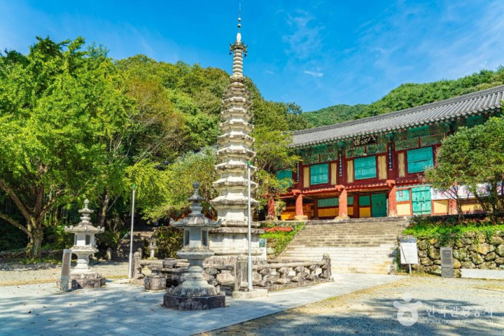 쌍계사(하동) 여행 추천 - 메고지고